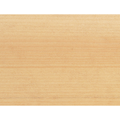 Renner Rio Verde - Impregnante classico all'acqua per legno RMxx10