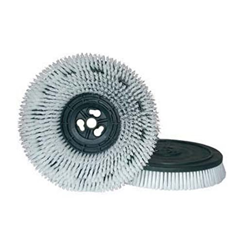 Raimondi  Spazzola Nylon Disk Bristle 080 480 mm - Attrezzatura per piastrellisti